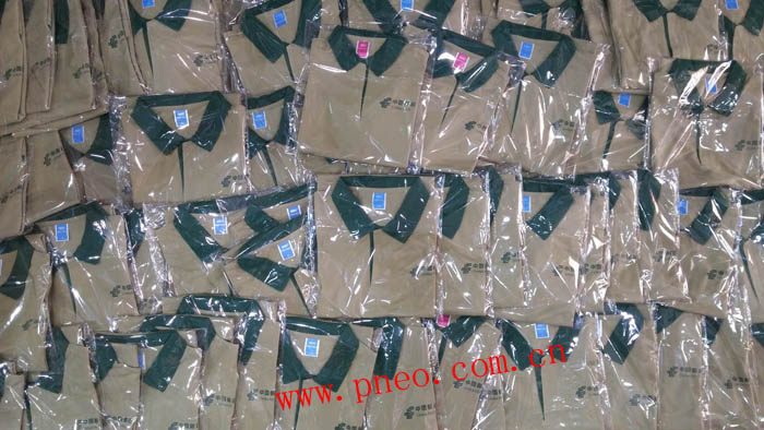 youzheng 06