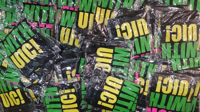 UIC13